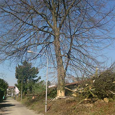 Spezialholzerei
