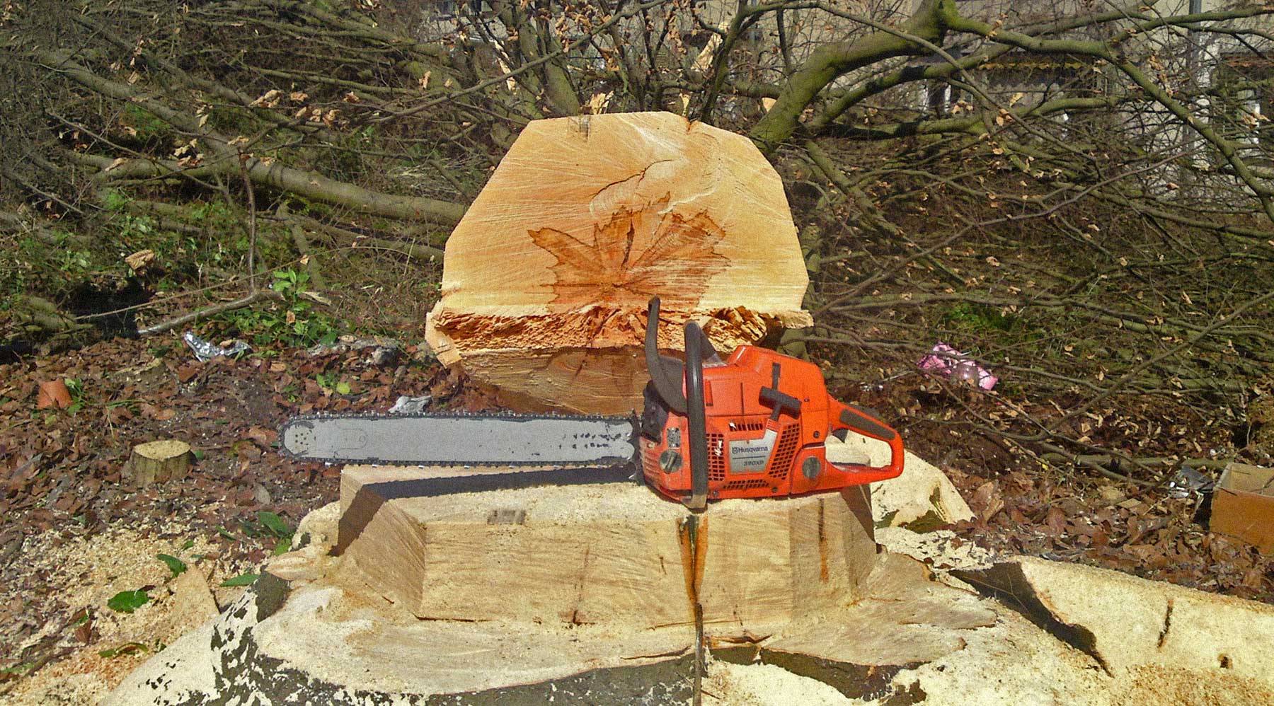 Baum gefällt